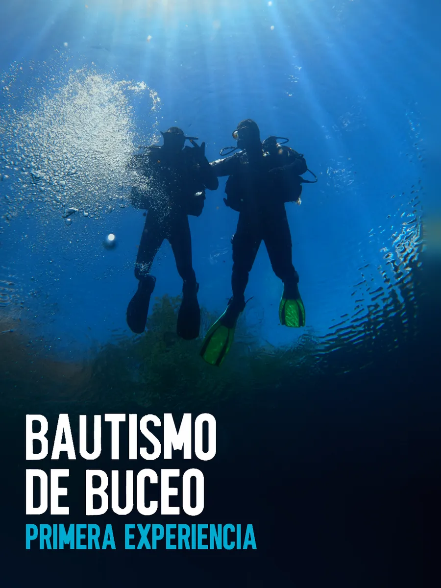 Dos buzos bajo el agua iluminados por rayos de sol