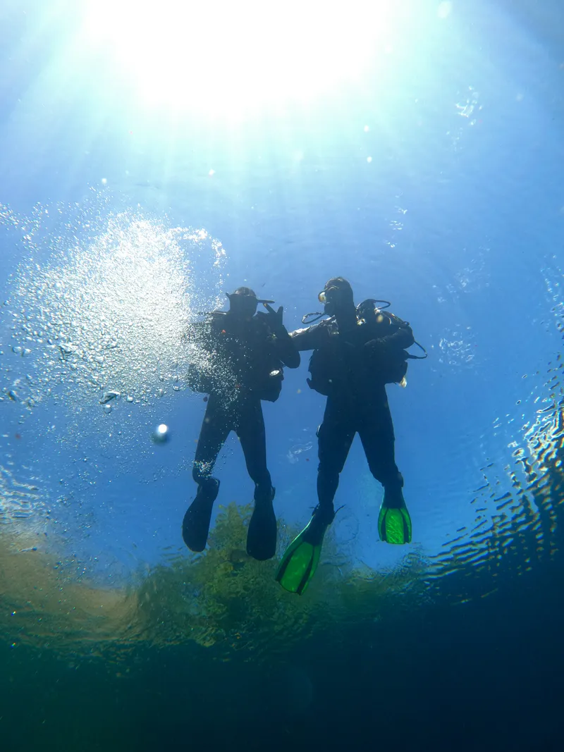 Dos buzos a contraluz bajo el agua, con el sol filtrándose desde la superficie